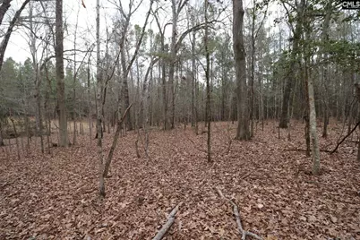 Lot 229 Granny Hill Road #229, Prosperity, SC 29127 - Photo 54