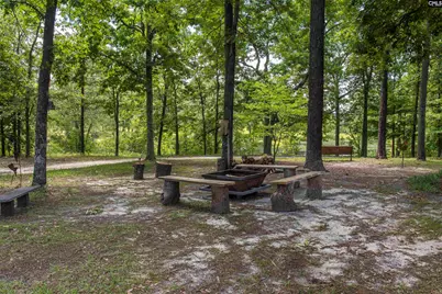 363 Langford Road, Blythewood, SC 29016 - Photo 30