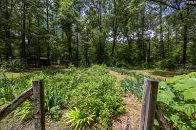 560 Harmon Road, Hopkins, SC 29061 - Photo 28