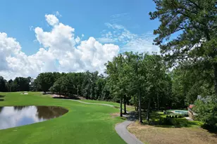 129 Linkside Ct, Chapin, SC 29036 - Photo 4