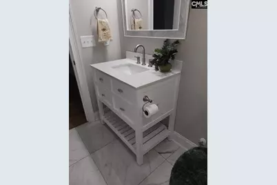 10 Saints Creek Place, Irmo, SC 29063 - Photo 76