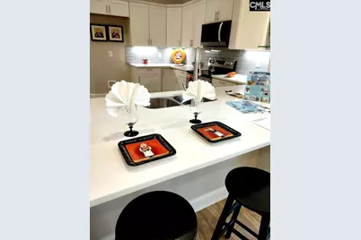 10 Saints Creek Place, Irmo, SC 29063 - Photo 32