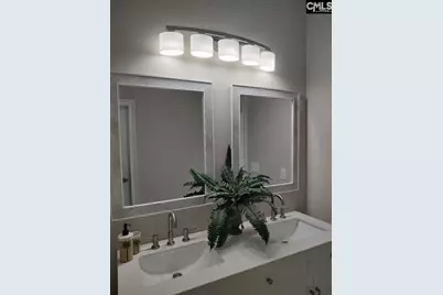 10 Saints Creek Place, Irmo, SC 29063 - Photo 42