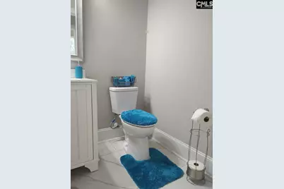 10 Saints Creek Place, Irmo, SC 29063 - Photo 56