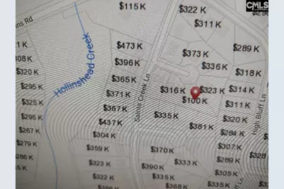 10 Saints Creek Place, Irmo, SC 29063 - Photo 92