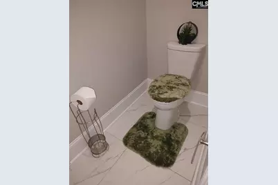 10 Saints Creek Place, Irmo, SC 29063 - Photo 50