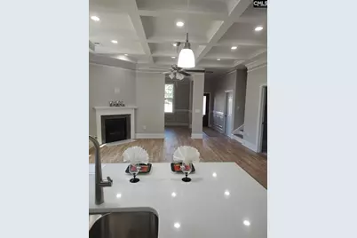 10 Saints Creek Place, Irmo, SC 29063 - Photo 20