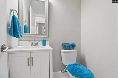 10 Saints Creek Place, Irmo, SC 29063 - Photo 54