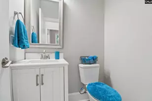 10 Saints Creek Pl, Irmo, SC 29063 - Photo 54