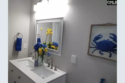 10 Saints Creek Place, Irmo, SC 29063 - Photo 64