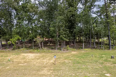 612 Misty Banks Drive, Chapin, SC 29036 - Photo 2