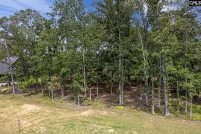 608 Misty Banks Drive, Chapin, SC 29036 - Photo 6