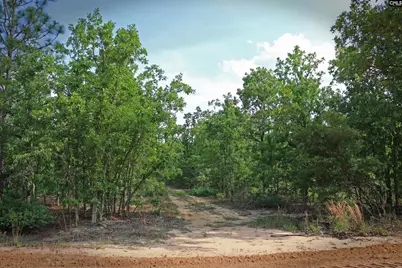 Tbd Webbs Pond, Williston, SC 29853 - Photo 1