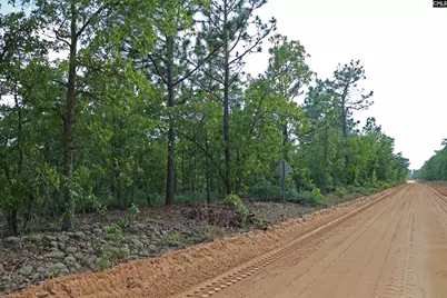 Tbd Webbs Pond, Williston, SC 29853 - Photo 4