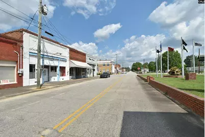 7306 Festival Trail Road, Springfield, SC 29146 - Photo 2