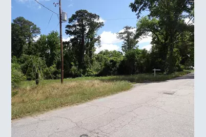 0 Russell Street, Batesburg, SC 29006 - Photo 4