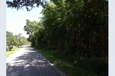 0 Russell Street, Batesburg, SC 29006 - Photo 8