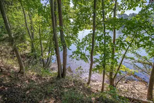 2022 Lake Rd, Ridgeway, SC 29130 - Photo 12