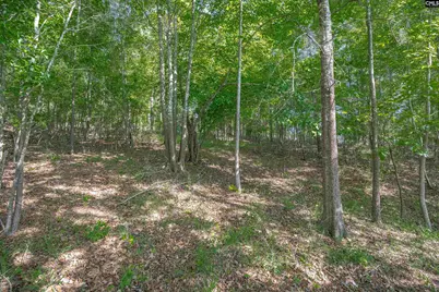 2022 Lake Road, Ridgeway, SC 29130 - Photo 18