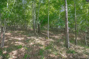 2022 Lake Rd, Ridgeway, SC 29130 - Photo 18