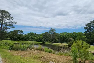 101 Moolah Dr, Columbia, SC 29223 - Photo 24