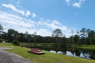 101 Moolah Dr, Columbia, SC 29223 - Photo 26