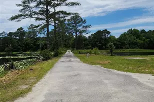 101 Moolah Dr, Columbia, SC 29223 - Photo 28