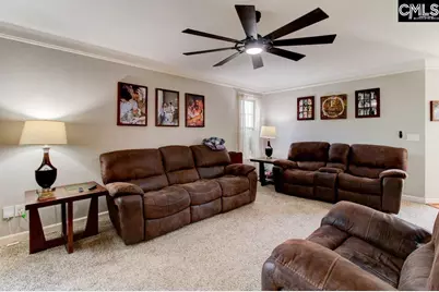 115 Chestnut Woods Lane, Columbia, SC 29212 - Photo 14
