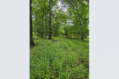 1595 Wateree Estates Road, Winnsboro, SC 29180 - Photo 8