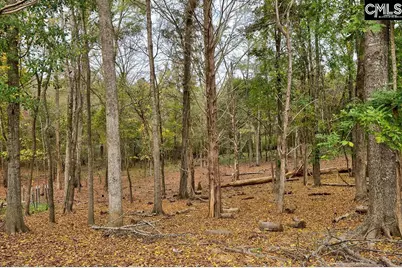 411 Holloway Street, Pomaria, SC 29126 - Photo 76