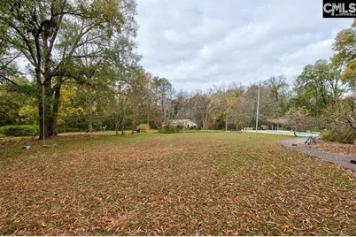 411 Holloway Street, Pomaria, SC 29126 - Photo 74
