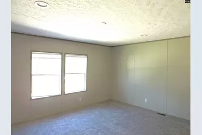 812 White Pond Road, Williston, SC 29853 - Photo 32