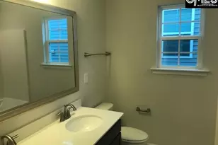 1351 Tamarind Ln, Chapin, SC 29036 - Photo 16