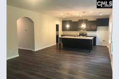1351 Tamarind Lane, Chapin, SC 29036 - Photo 6