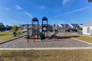 628 Thunder Gulch Ave, Lexington, SC 29073 - Photo 42