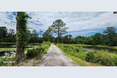 101 Moolah Drive, Columbia, SC 29223 - Photo 28