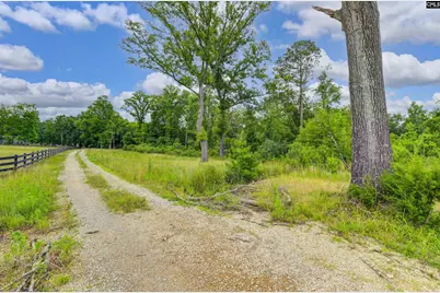 2544 Wessinger Road, Chapin, SC 29036 - Photo 8