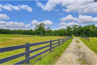 2544 Wessinger Road, Chapin, SC 29036 - Photo 2