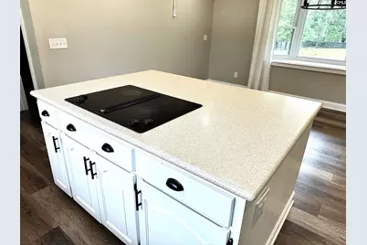 535 Sandbar Road, Chapin, SC 29036 - Photo 10