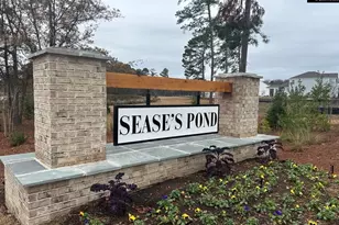 149 Ruby Prince Rd, Gilbert, SC 29054 - Photo 42