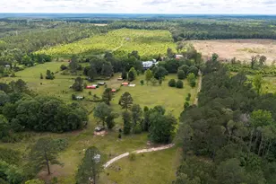 3941 Hillbilly Wy, McBee, SC 29101 - Photo 34