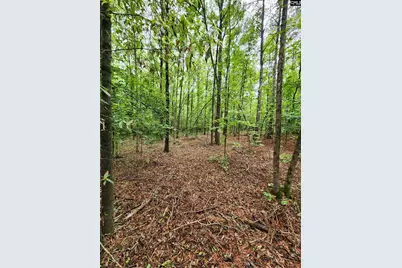 0 Elm Street, Prosperity, SC 29127 - Photo 16