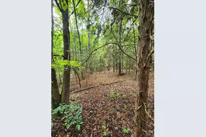 0 Elm Street, Prosperity, SC 29127 - Photo 6