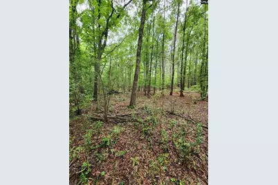 0 Elm Street, Prosperity, SC 29127 - Photo 22