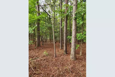 0 Elm Street, Prosperity, SC 29127 - Photo 4