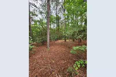 0 Elm Street, Prosperity, SC 29127 - Photo 10