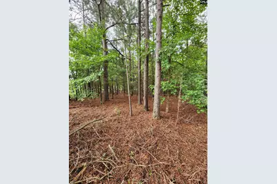 0 Elm Street, Prosperity, SC 29127 - Photo 2