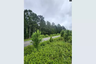 0 Elm Street, Prosperity, SC 29127 - Photo 6