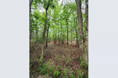 0 Elm Street, Prosperity, SC 29127 - Photo 20