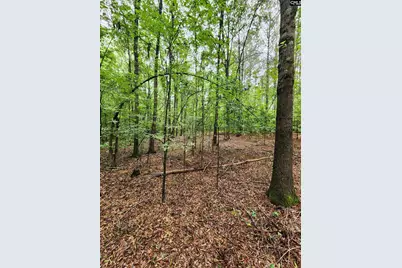 0 Elm Street, Prosperity, SC 29127 - Photo 24